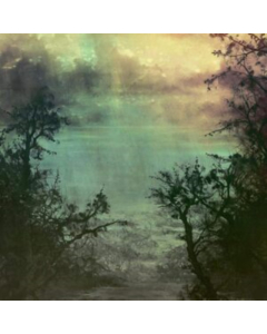 COLTSBLOOD & UN - SPLIT