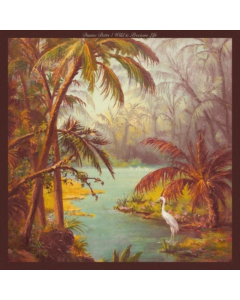 BETTS,DUANE - WILD & PRECIOUS LIFE (2LP)