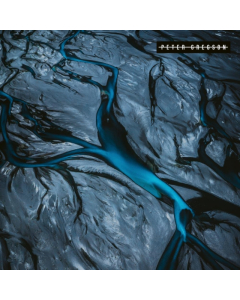 GREGSON,PETER - PATINA