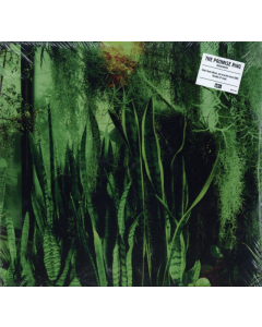 PROMISE RING - WOOD/WATER