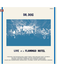 DR. DOG - LIVE AT A FLAMINGO HOTEL
