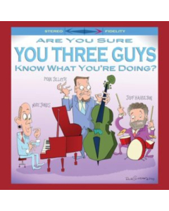 JONES,MIKE & PENN JILLETTE & JEFF HAMILTON - ARE YOU SURE YOU THREE GUYS KNOW WHAT YOU'RE DOING?