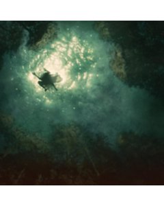 Companion Ep - Braids