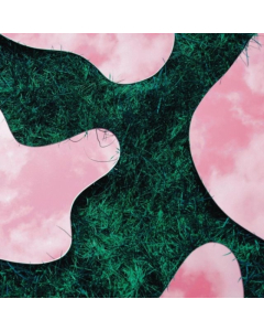 LEE PARADISE - & CO