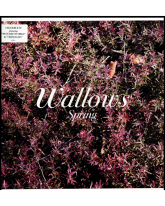 WALLOWS - SPRING EP (X) (PINK & GREEN VINYL)