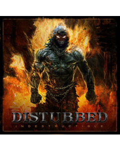 DISTURBED - INDESTRUCTIBLE