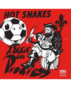 HOT SNAKES - AUDIT IN PROGRESS