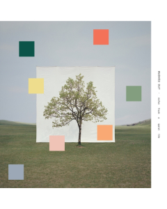 WASHED OUT - NOTES FROM A QUIET LIFE (HONEYDEW-MELON VINYL)