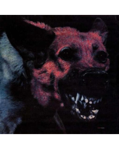 PROTOMARTYR - UNDER COLOR OF OFFICIAL RIGHT