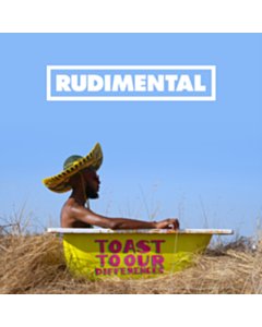 RUDIMENTAL - TOAST TO OUR DIFFERENCES (2LP)