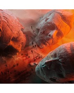 Will Of The People (Red Vinyl) - Muse