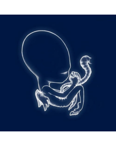 SIGUR ROS - AGAETIS BYRJUN