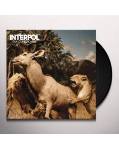 INTERPOL - OUR LOVE TO ADMIRE (2LP)