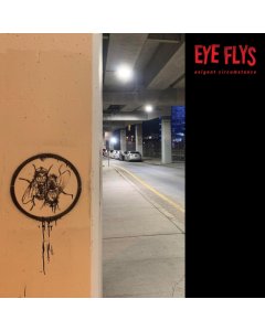 EYE FLYS - EXIGENT CIRCUMSTANCE