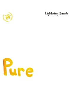 Pure/All I Want - Lightning Seeds