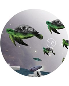 How To Wear Raybans Well - Sasha