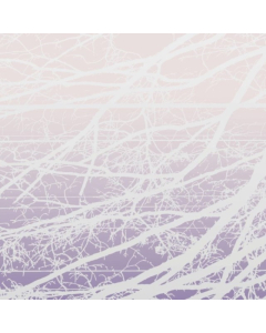 BERTUCCI,LEA - METAL AETHER / RESONANT FIELD (2LP)