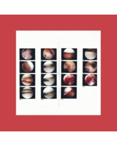 CRADLE - LAUGHING IN MY SLEEP (DL CARD)