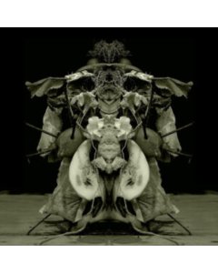 Uzu Oto - Gurun Gurun