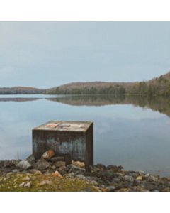 See You At The Solipsist Convention (Dark Evergreen Vinyl) - Yesness