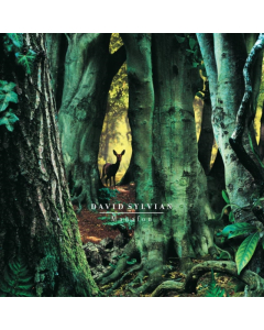 SYLVIAN,DAVID - MANAFON (2LP)