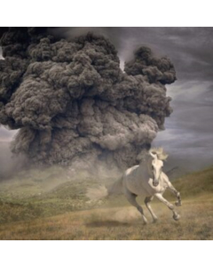 WHITE BUFFALO - YEAR OF THE DARK HORSE (GRAY VINYL)