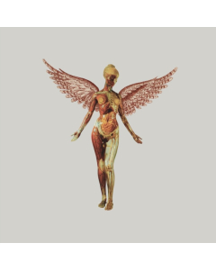 NIRVANA - IN UTERO (30TH ANNIVERSARY) (8LP)
