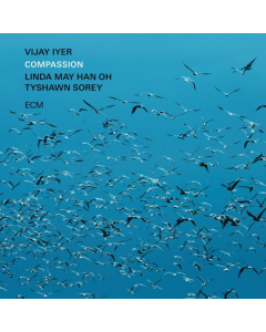IYER,VIJAY; LINDA MAY HAN OH & TYSHAWN SOREY - COMPASSION