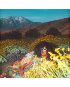 HOWARD,BRITTANY - WHAT NOW