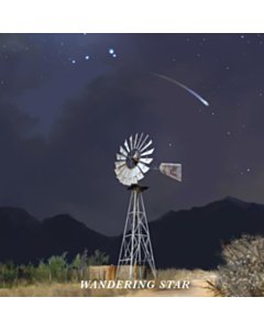 Wandering Star (Dark Water Swirl Vinyl) - Flatland Cavalry
