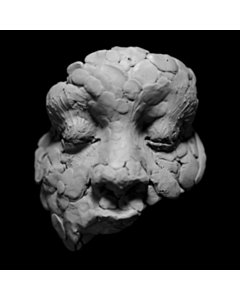 Observations From A Crowded Room (X) - Joy Oladokun