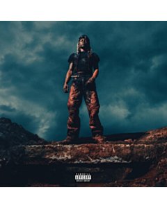 Love Lasts Forever (X) (Translucent Pumpkin Spice Vinyl/2Lp/Alt Cover) - Destroy Lonely