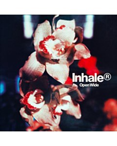 Open Wide  - Inhaler