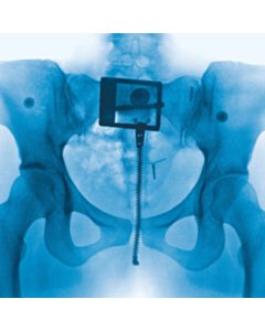 Virgin (X) (Bathwater Vinyl) - Lorde