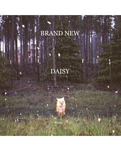 Daisy - Brand New