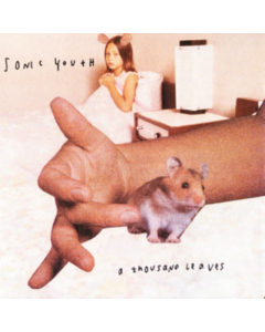 Thousand Leaves - Sonic Youth