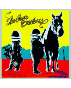 AVETT BROTHERS - TRUE SADNESS