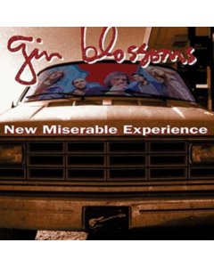 New Miserable Experience - Gin Blossoms