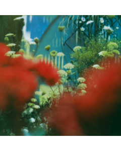 PULLED APART BY HORSES - HAZE (GREEN VINYL/LIMITED)