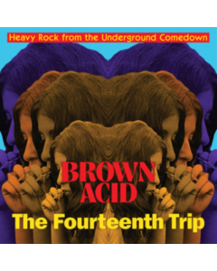 VARIOUS ARTISTS - BROWN ACID: THE FOURTEENTH TRIP
