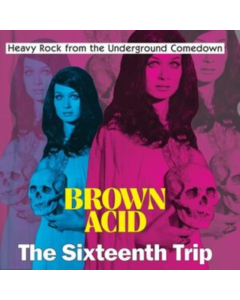 VARIOUS ARTISTS - BROWN ACID - THE SIXTEENTH TRIP