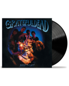 GRATEFUL DEAD - BUILT TO LAST