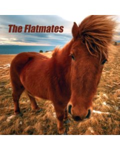 FLATMATES - FLATMATES