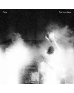 Numbers - Gate