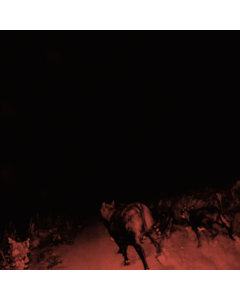 BAMBARA - SHADOW ON EVERYTHING