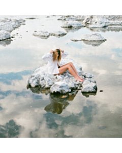 Hamartia (Transparent Clear Vinyl) - Warm Human