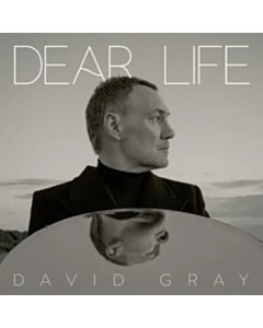 Dear Life (Coloured Vinyl) - David Gray