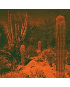 KNOWLER,CAMERON & ELI WINTER - ANTICIPATION (PURPLE VINYL) (I)