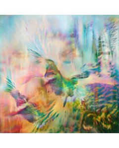 Time Enough For Love - Seahawks 