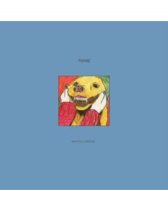 TUNIC - WRONG DREAM